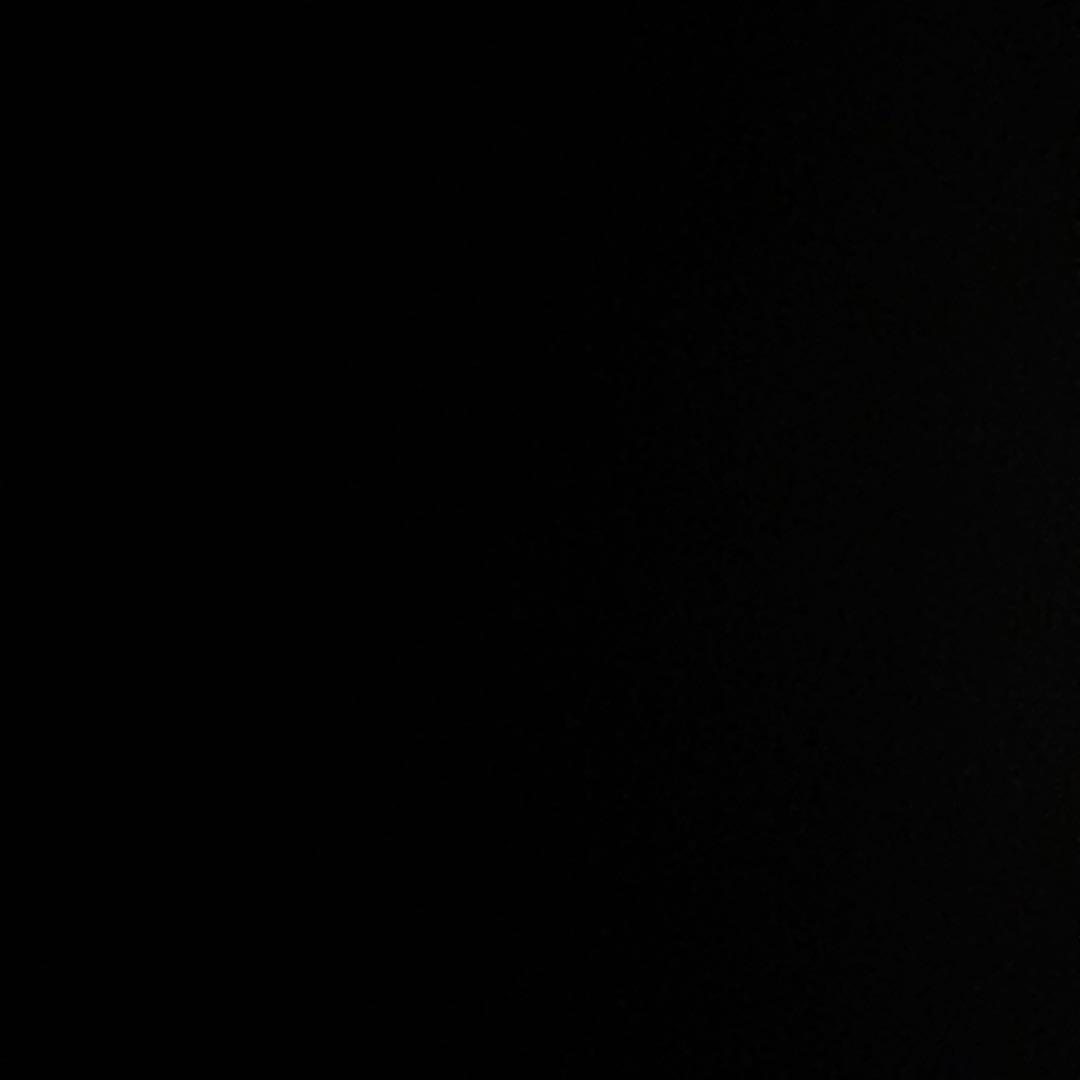 夢は山岳救助隊