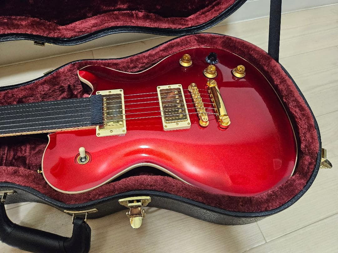 ギター FUJIGEN / Expert FLAME(EFL)