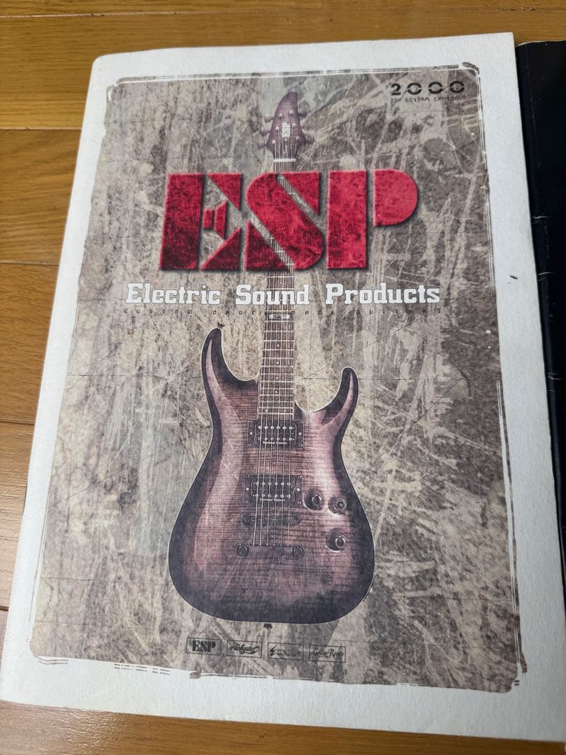 ⭐︎超絶お宝⭐︎ESP⭐︎Ninja マイケルアモットが2002年公演で使用したギター