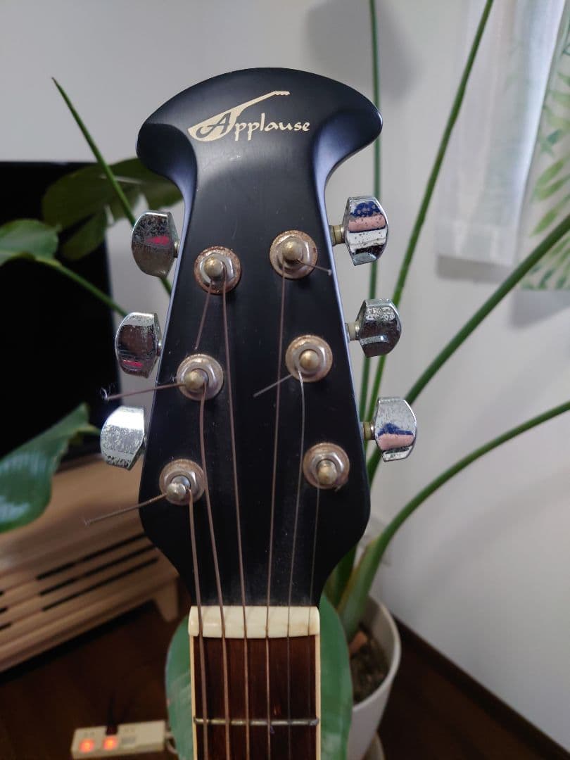 Applause Summit Series AE 28 アコースティックギター