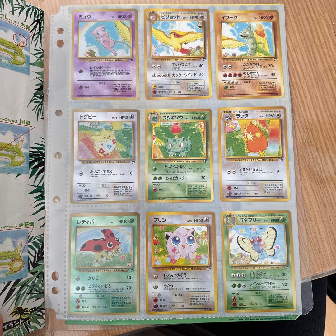 旧裏　ポケモンカード　レインボーアイランド　トロピカルアイランド　全１８枚セット