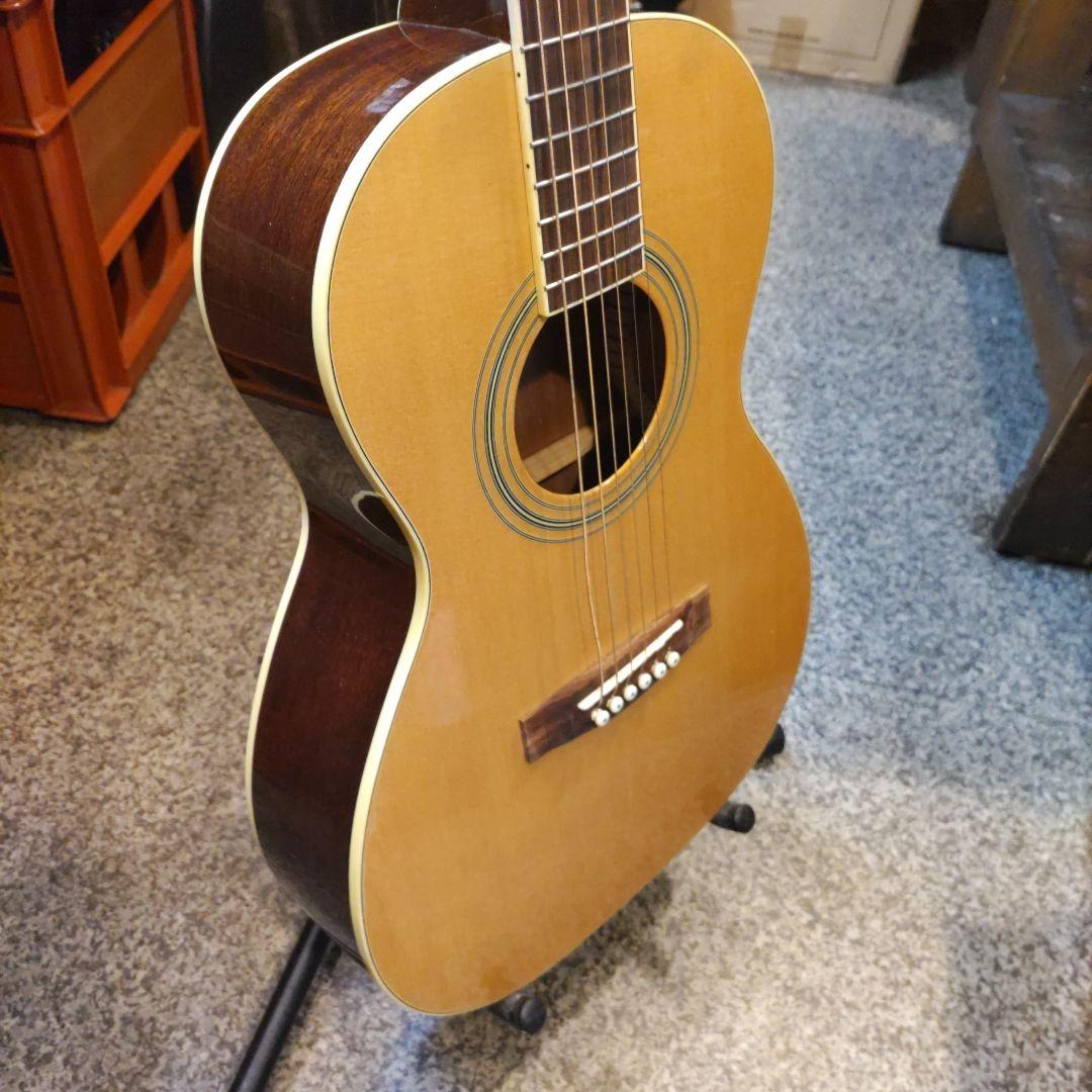 Fender GDP100 (管理テナ)