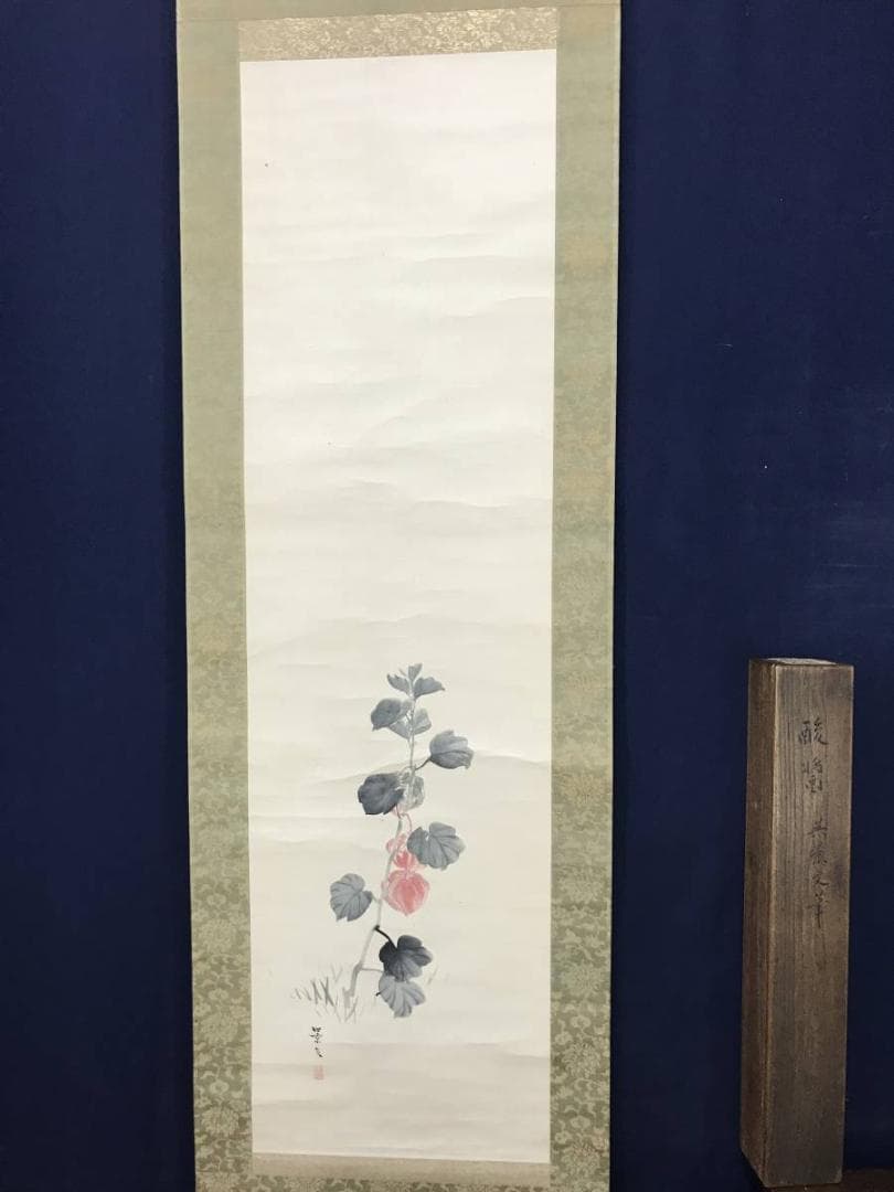 【真作】松村景文/ほおずき図/ホオズキ図/鬼灯図/掛軸/名家伝来/AC-1