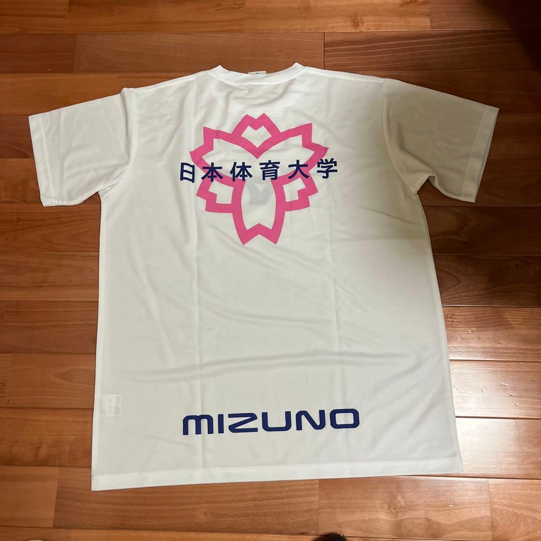 Mizuno 日本体育大学 シャツ　新品　未使用