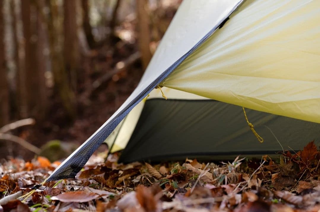 NEMO タニオズモ 1p