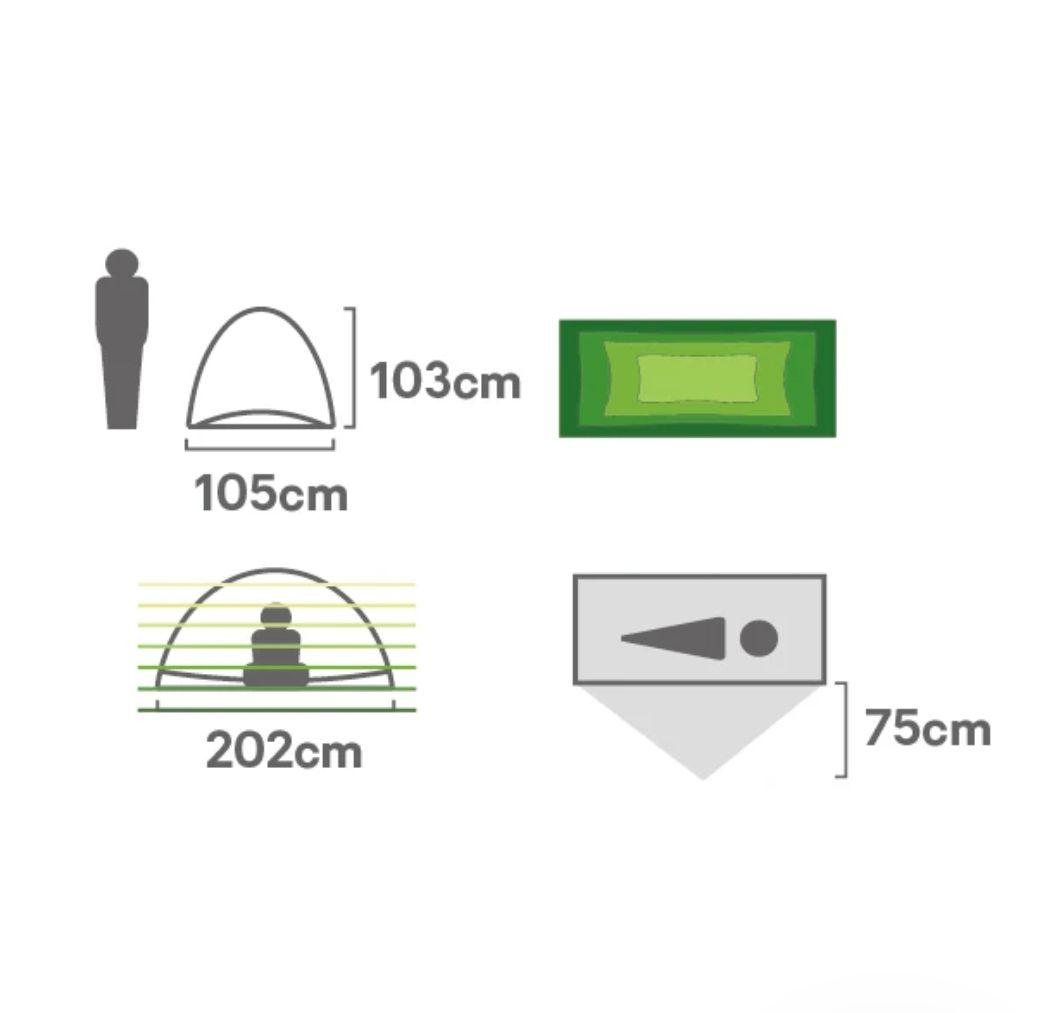 NEMO タニオズモ 1p