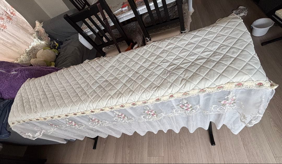 鍵盤楽器 CASIO Privia PX-A100RD