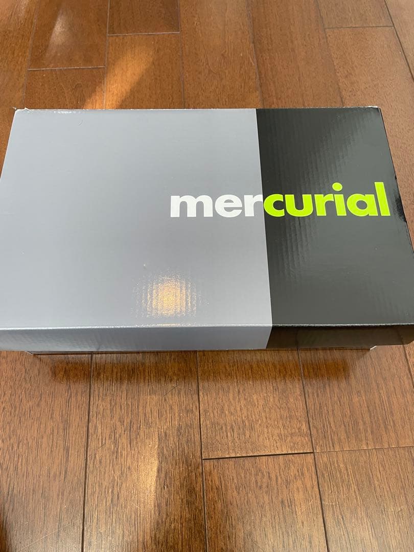 ズームスーパーフライ10エリートエアマックス95 27.5cm