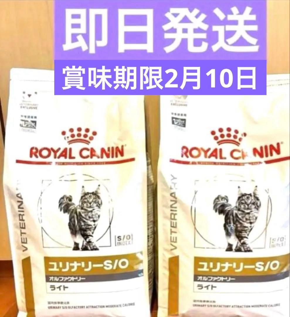 ロイヤルカナン ユリナリーS/O オルファクトリー ライト4kg×2 猫用