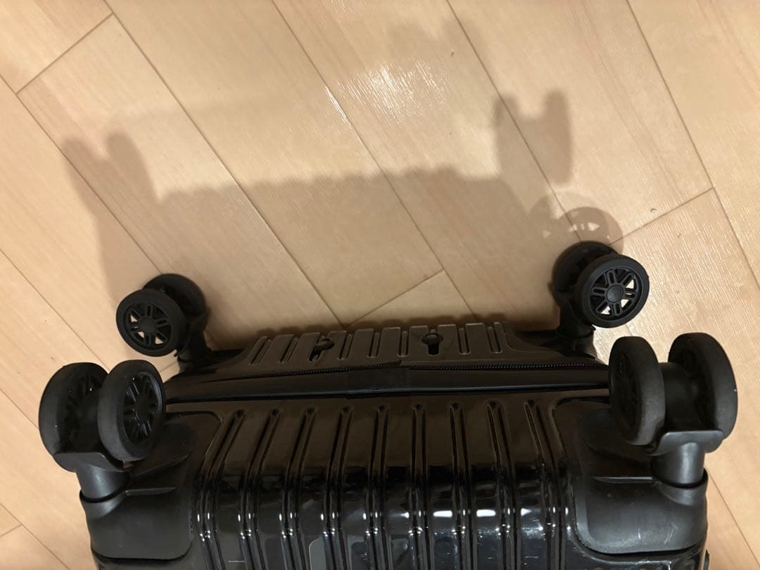 肉*が様 UNISON SQUARE GARDEN キャリーケース