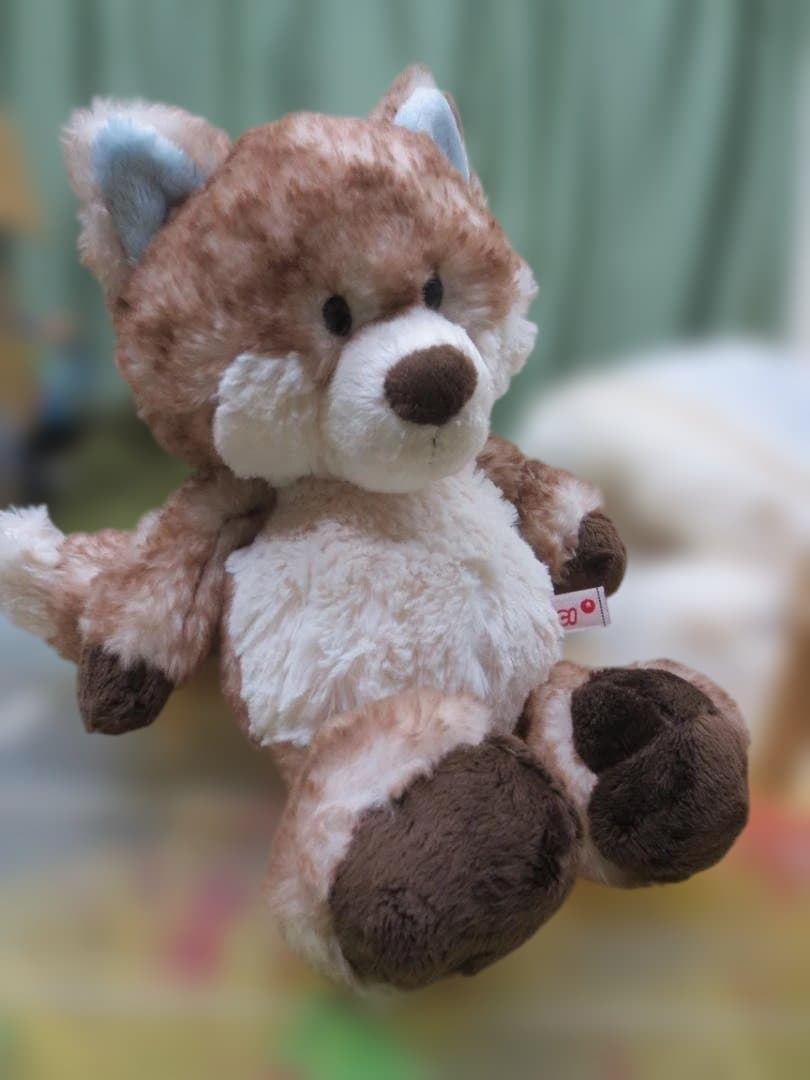 NICI　ニキ　Winter2021　スノーフォックス　クラシック　35㎝