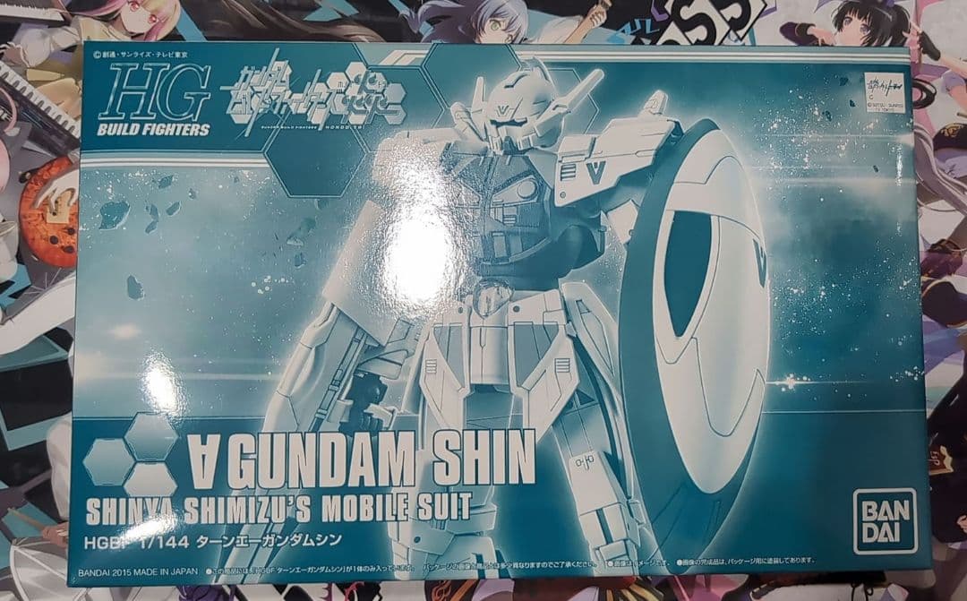 HG ターンエーガンダムシン