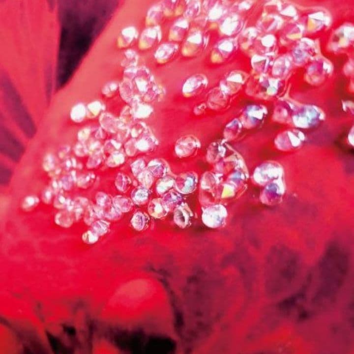 輸入雑貨　天然石　『赤い金魚』　水晶石　クリスタルアート　ゴールド額縁