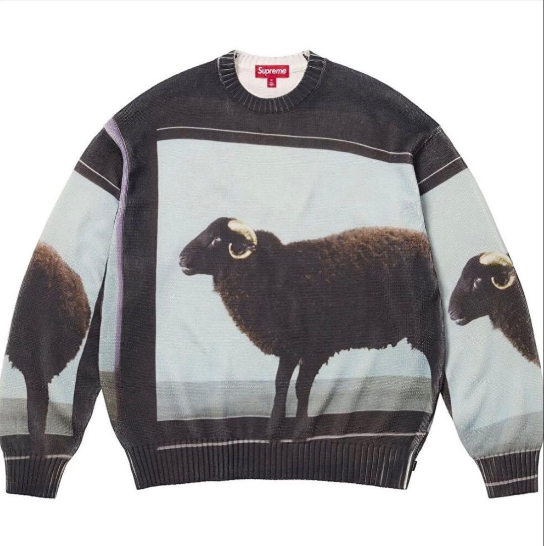 トップス supreme Damien Hirst Sweater 25ss M