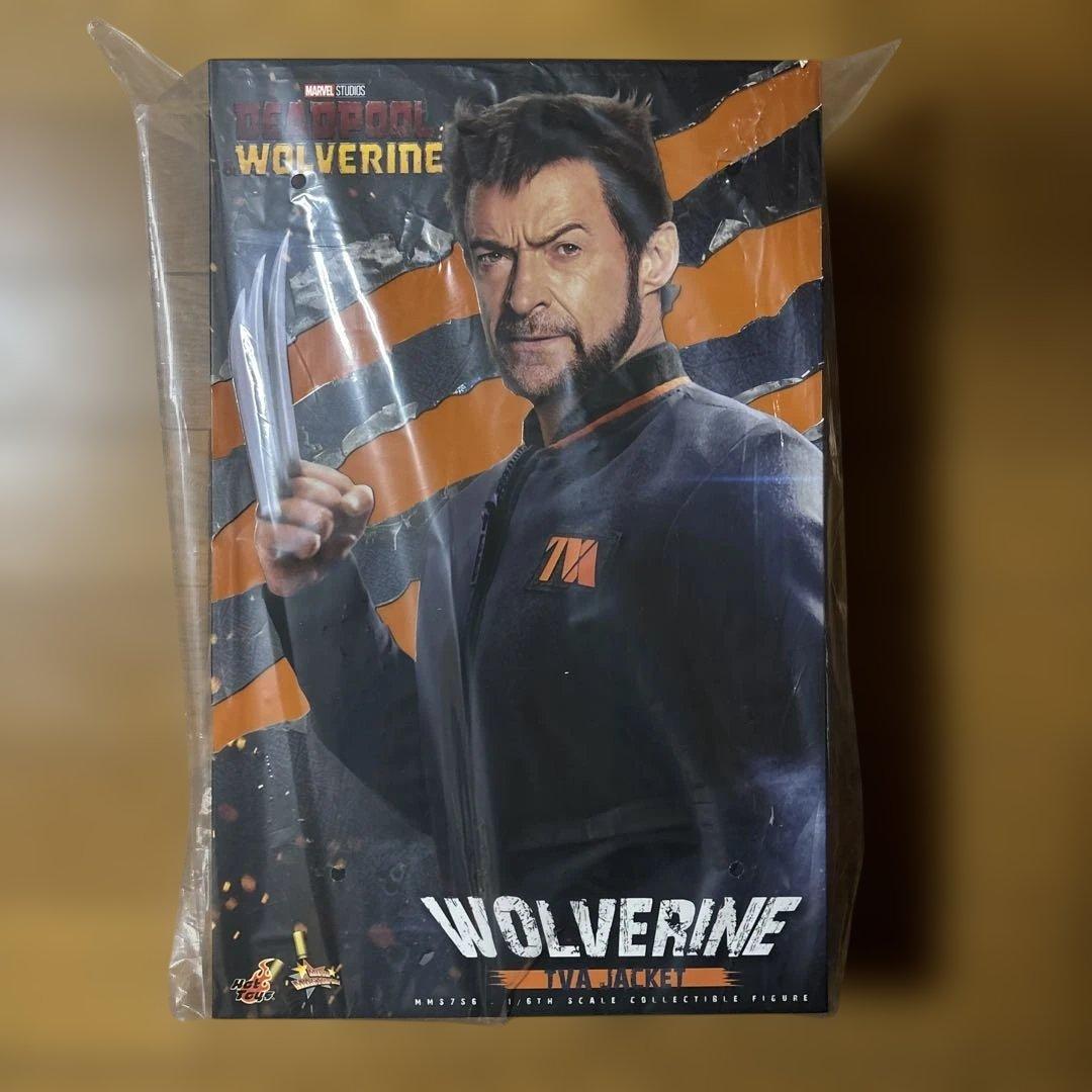 ムービー・マスターピース 1/6 ウルヴァリン(TVAジャケット版)