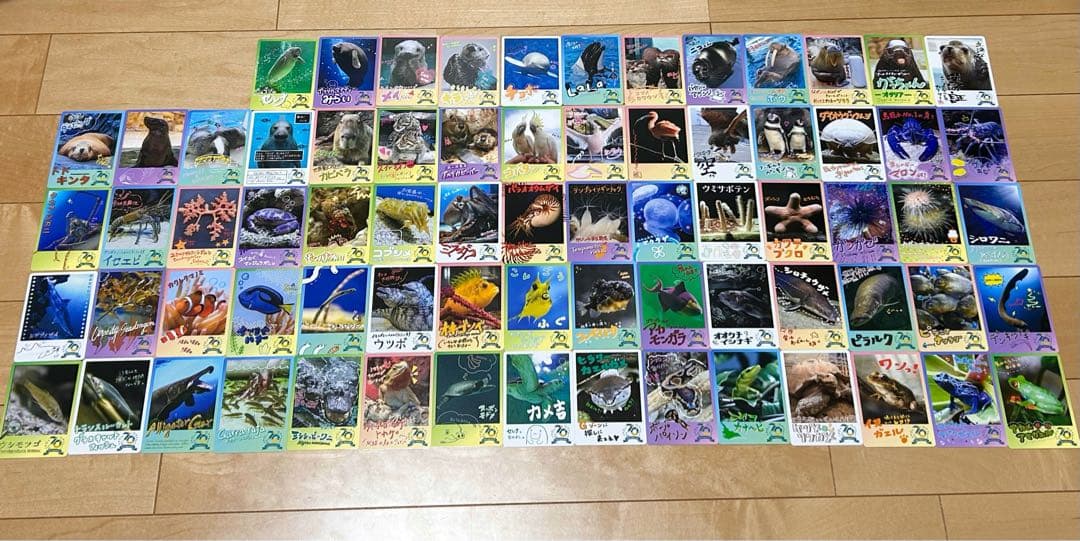 鳥羽水族館　コレカ　ノーマルカード コンプリート　70周年記念
