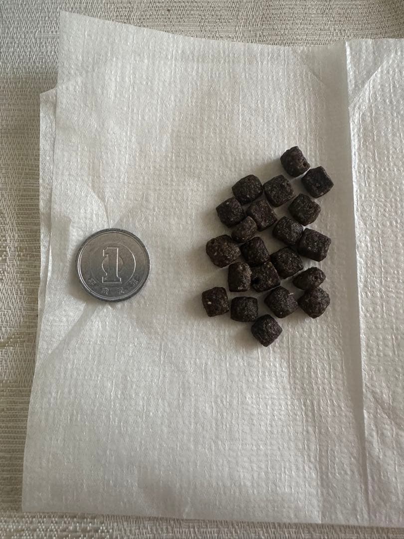 ELMO サーモン ドライフード 3kg×2袋