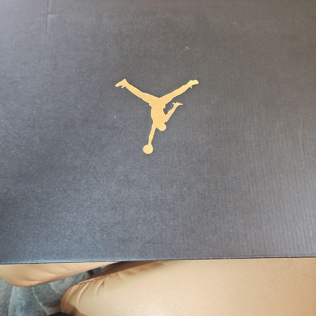 エア　ジョーダン　14　ラストショット