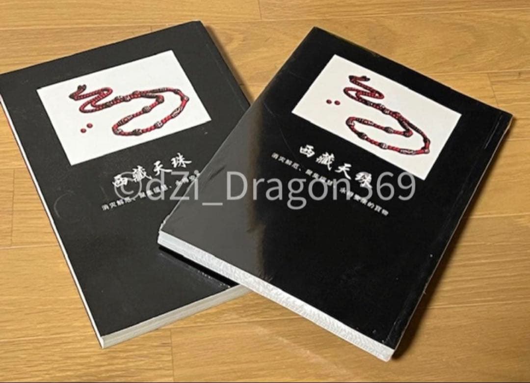 【一点限り／ 入手困難 】天珠（dZi）の本 西蔵天珠 林 東廣 著