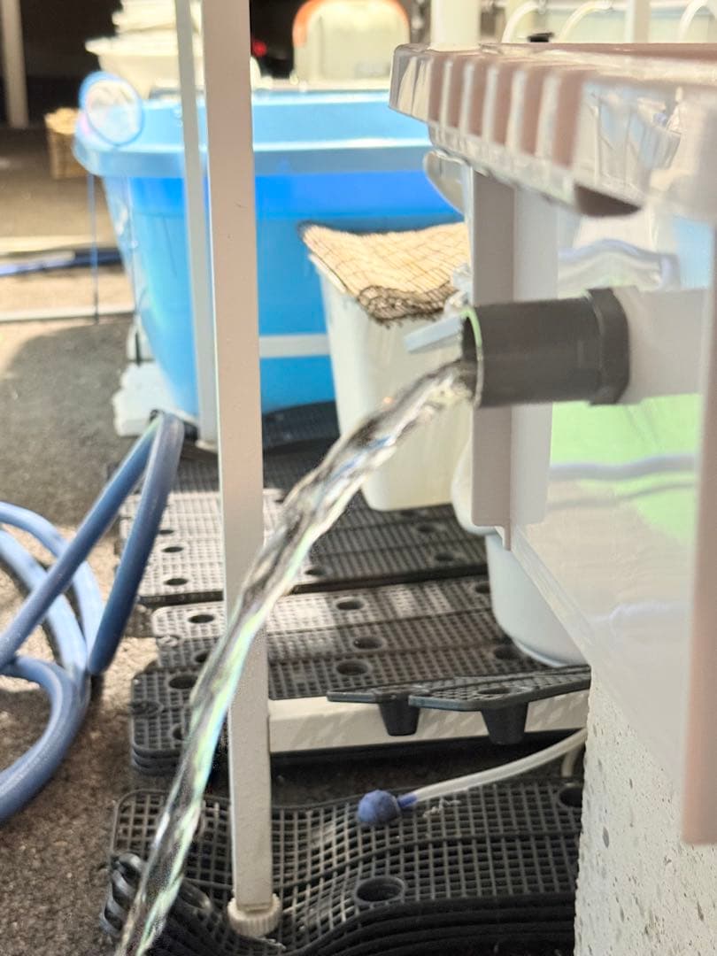 ★お買い得★たらい36L(3個)メダカ飼育容器オーバーフロー トロ舟プラ舟めだか