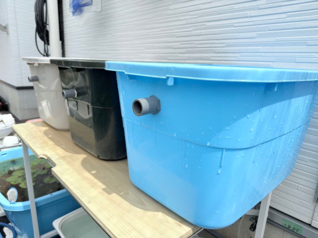 ★お買い得★たらい36L(3個)メダカ飼育容器オーバーフロー トロ舟プラ舟めだか