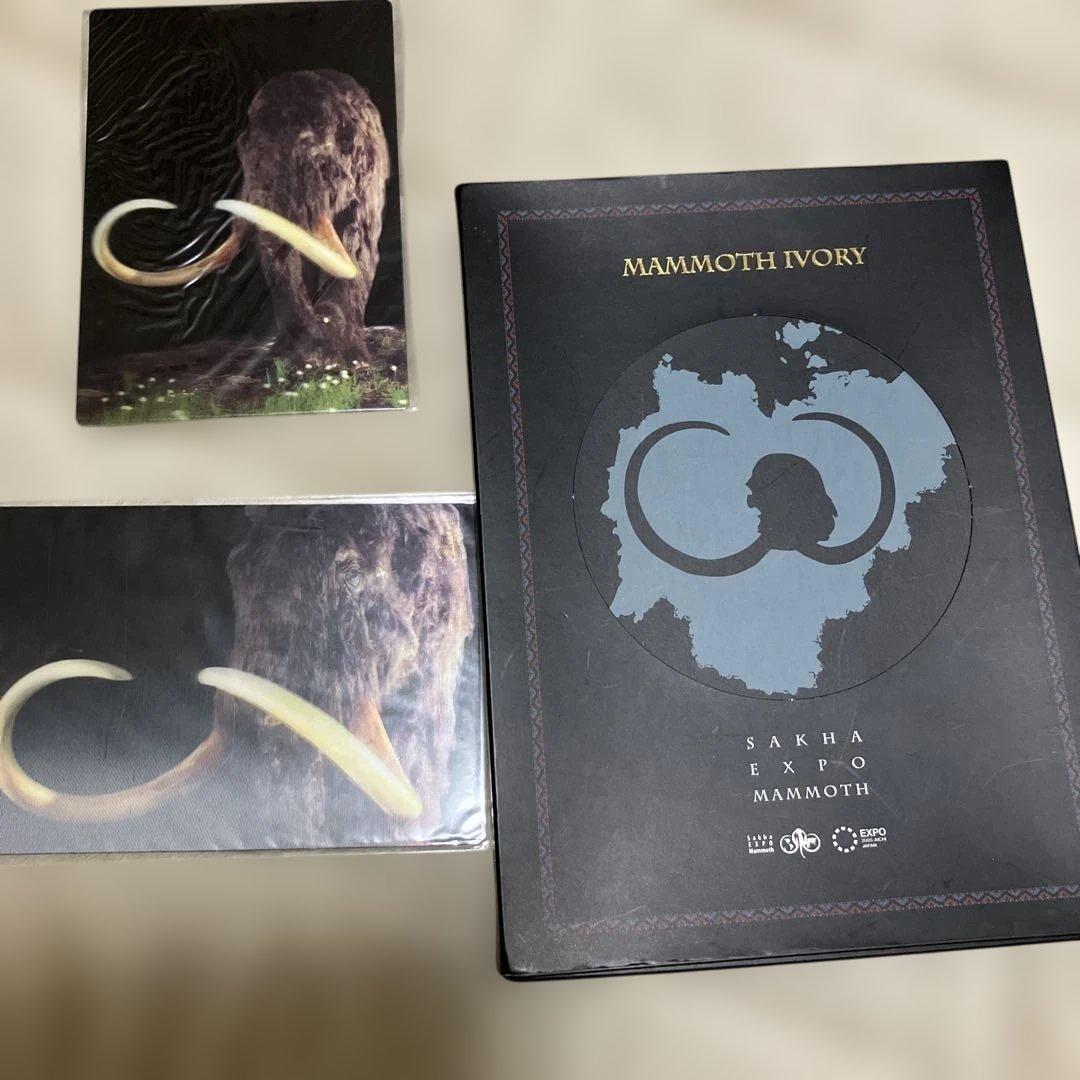 マンモスの骨　愛・地球博　ポストカード