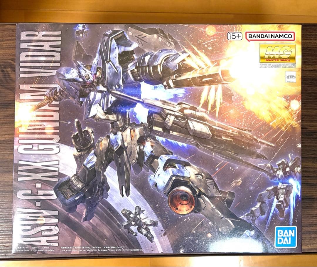 ガンダムヴィダール　MG