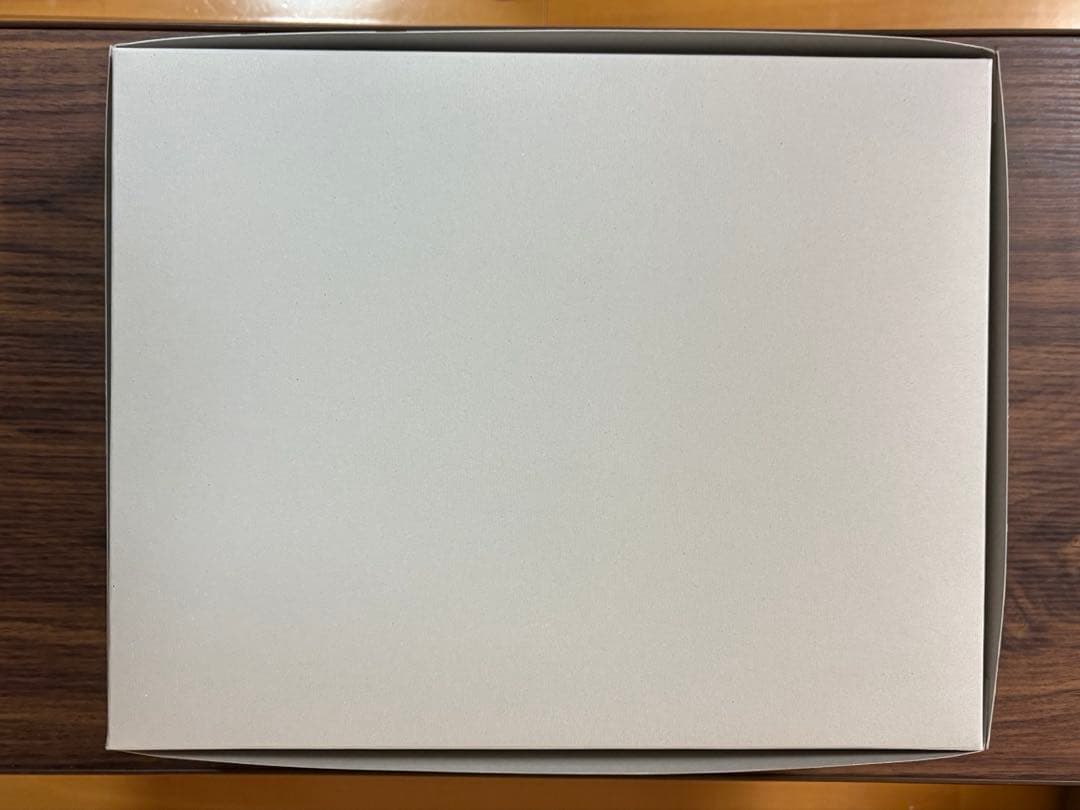 ガンダムヴィダール　MG