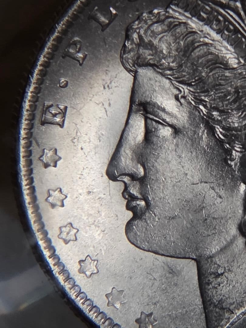 専用(お土産品)モルガンダラー銀貨入り　置き物