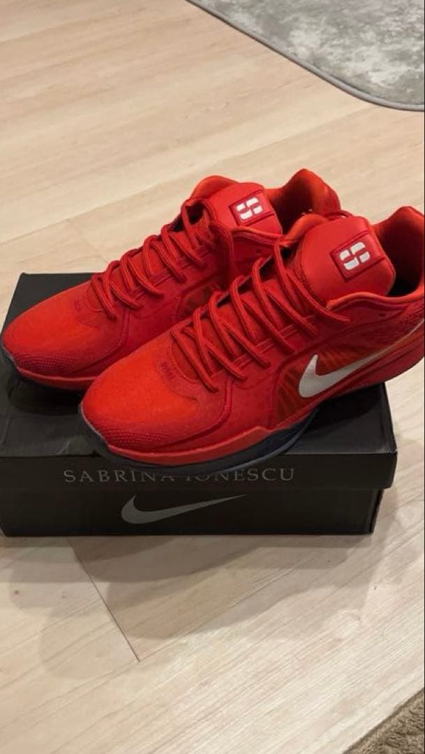 Nike バスケットボールシューズ レッド