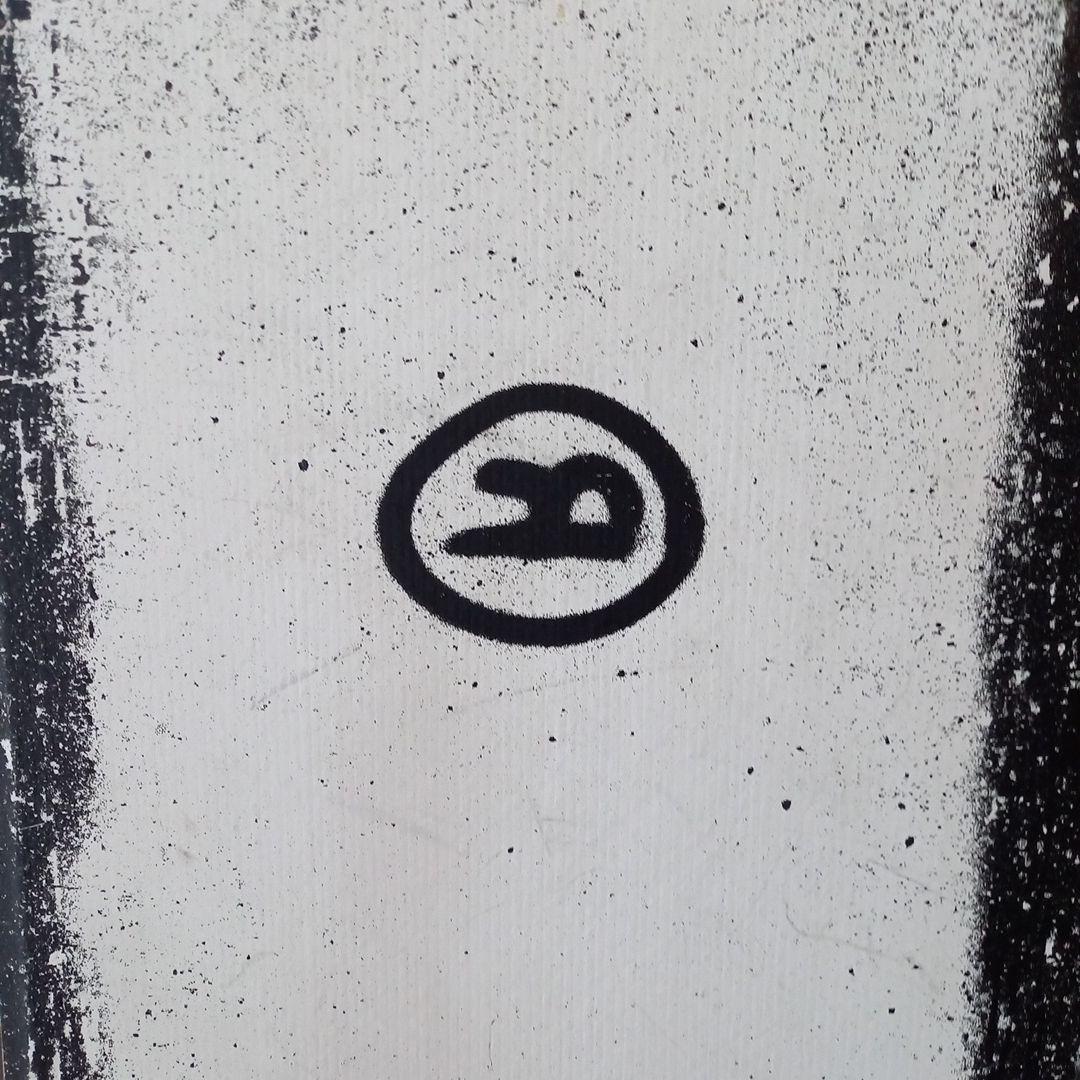 【極太・激レア】RIDE TWINPIG 157 2019モデル ツインチップ