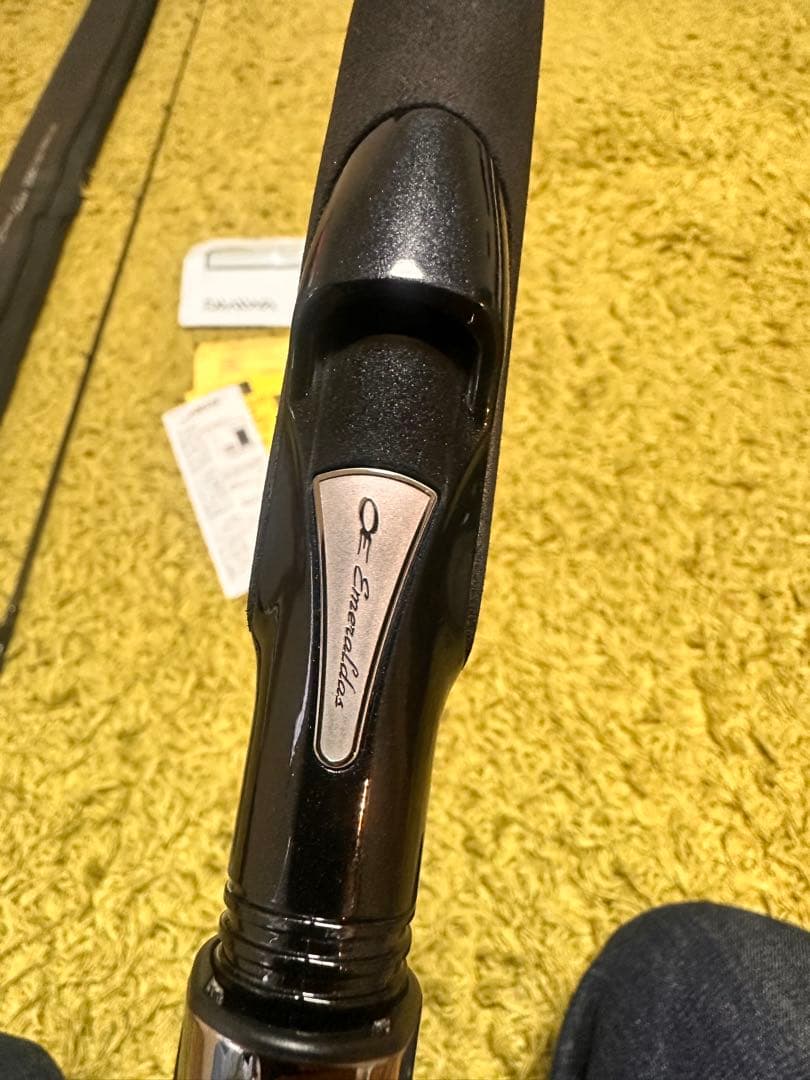 たあち　ダイワ エメラルダス ストイスト AGS 76MMH-SMT