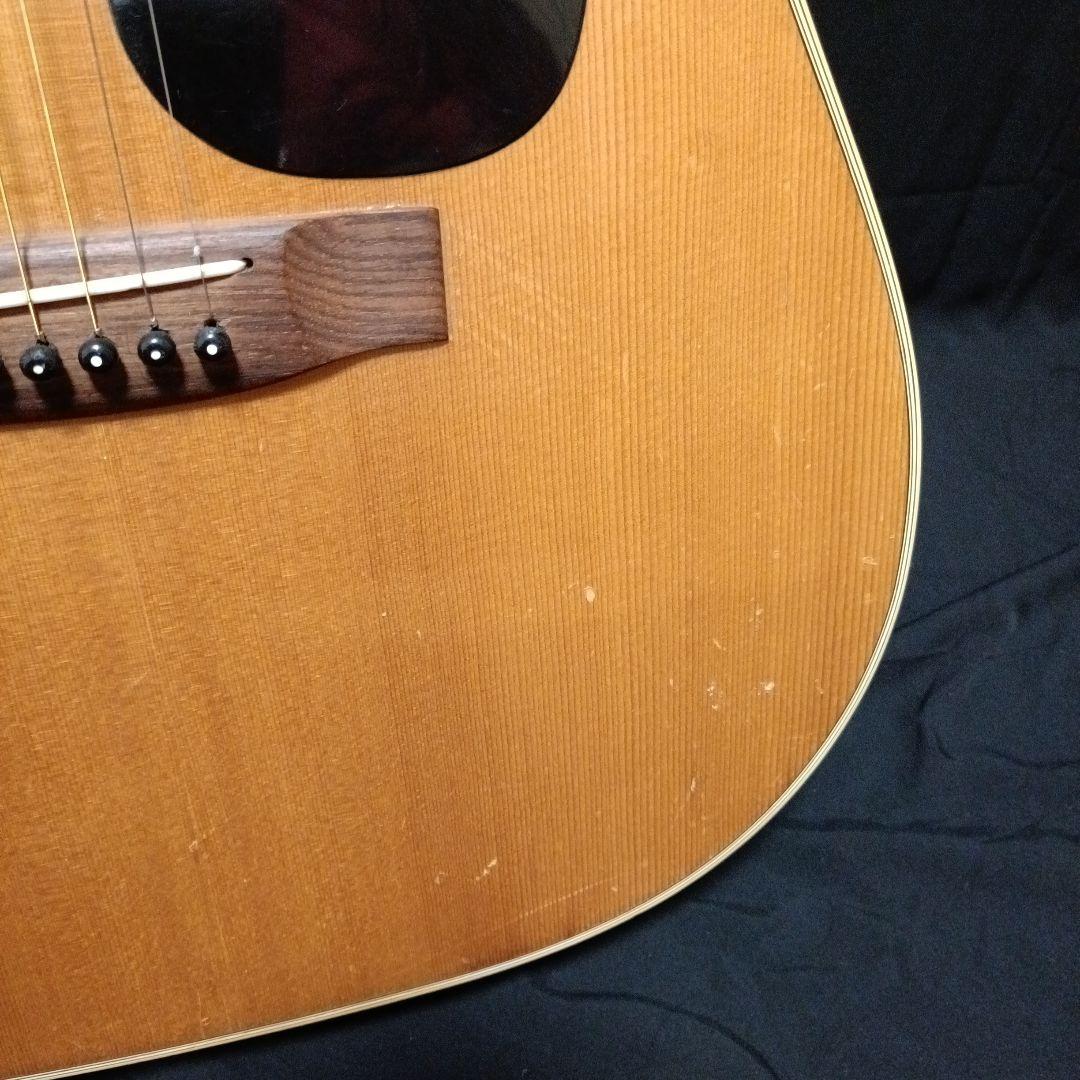 vagi 希少 アコースティックギター