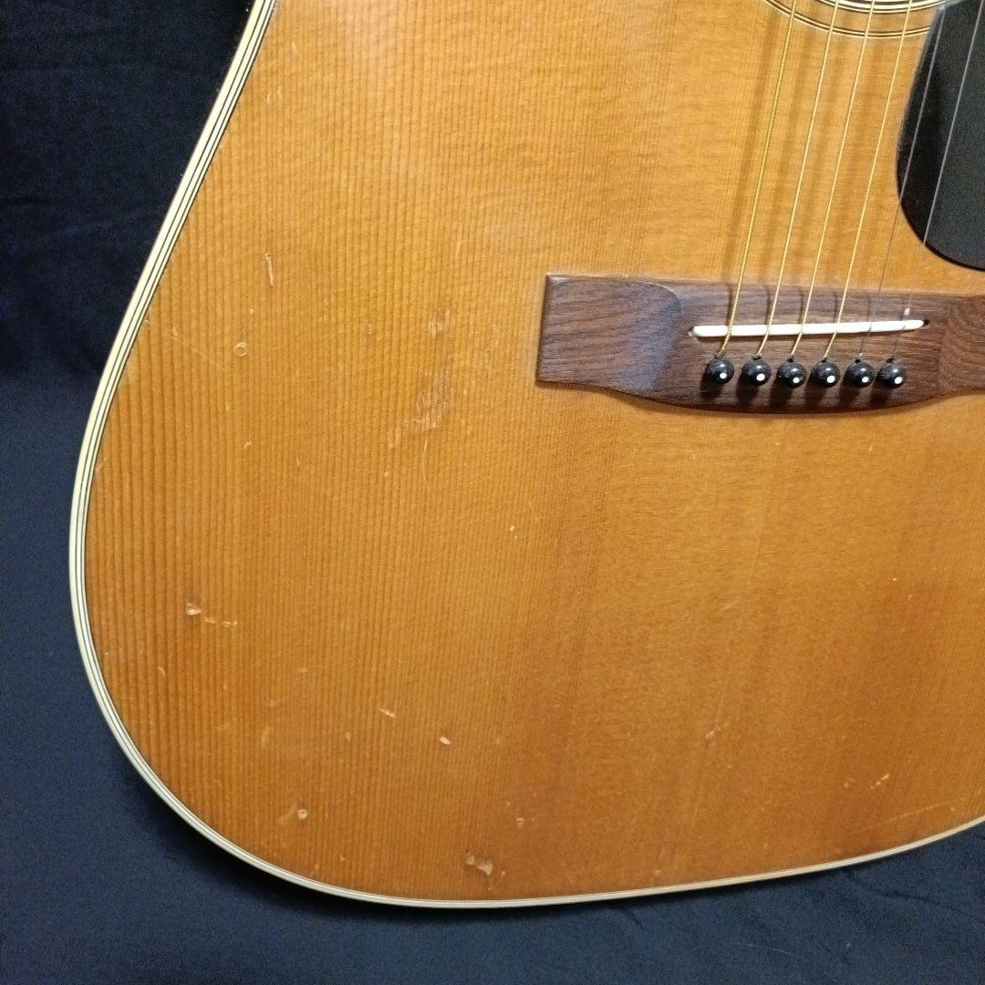 vagi 希少 アコースティックギター