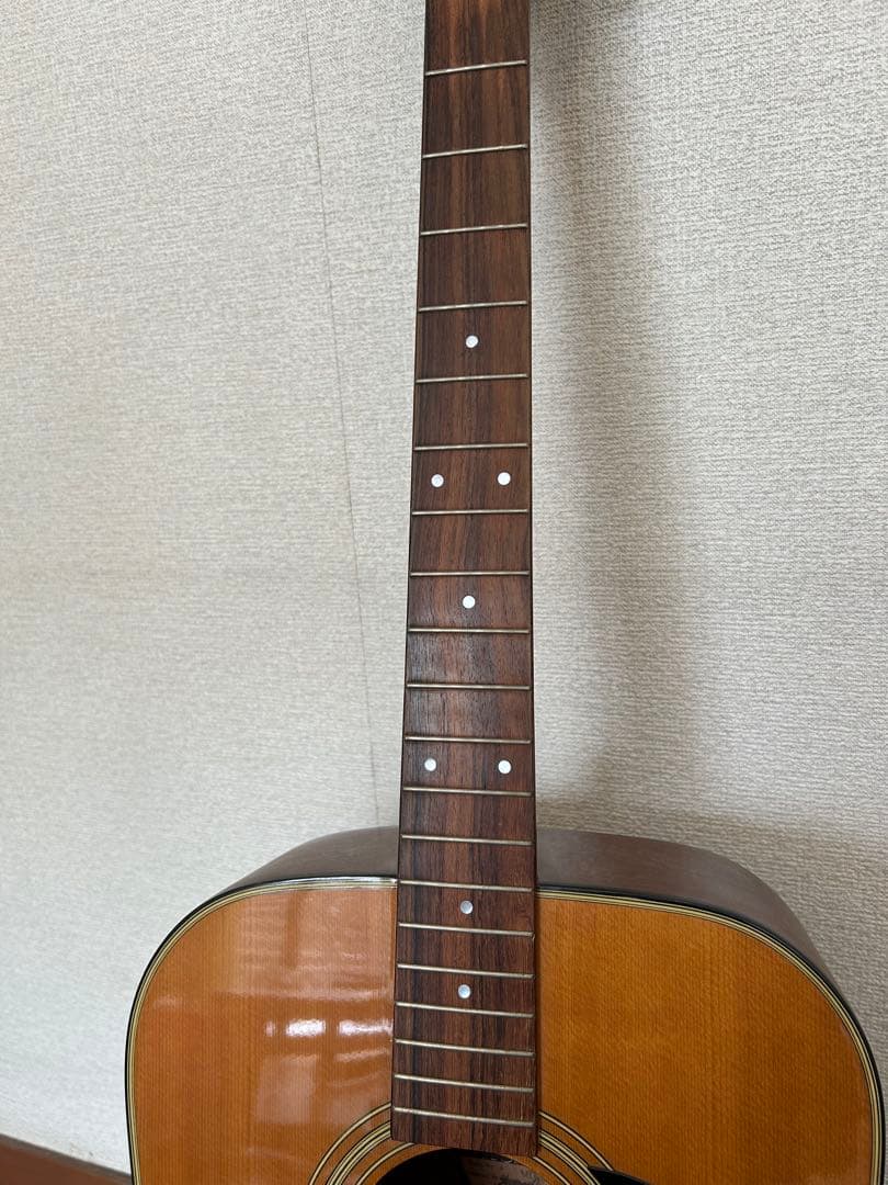 Morris アコースティックギター MD-502 モーリス