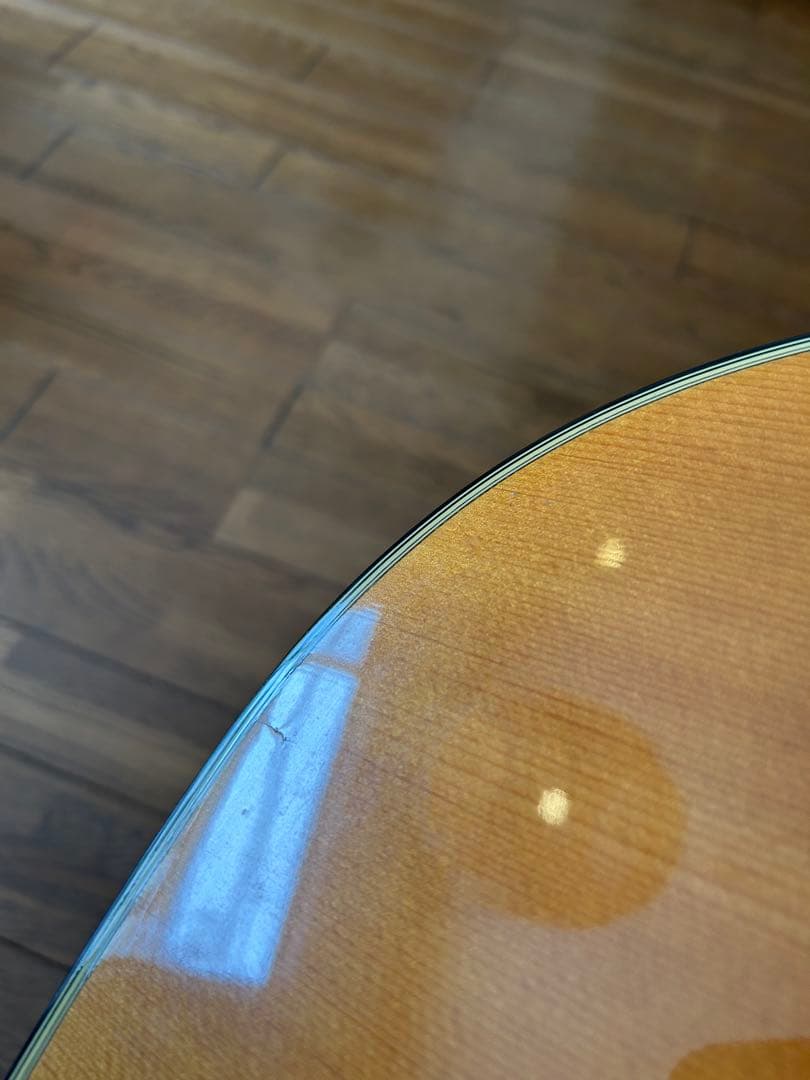 Morris アコースティックギター MD-502 モーリス