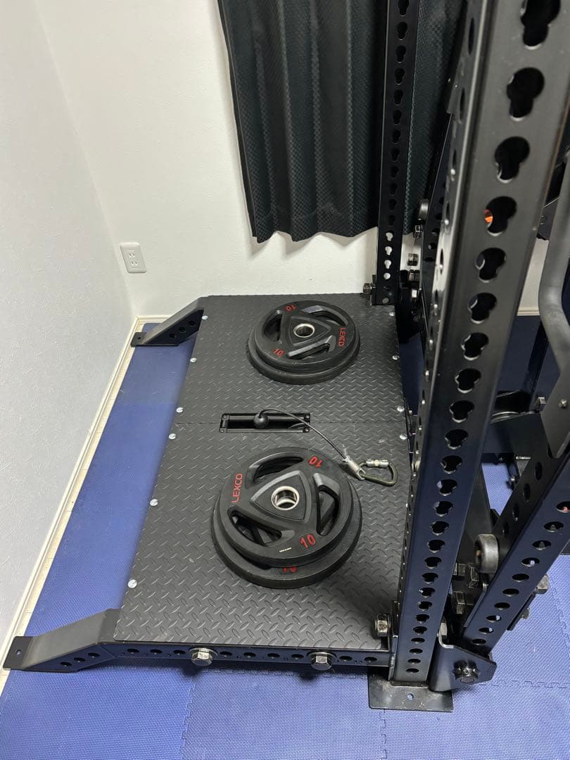 ROGUE FITNESS モンスターライノ　ベルトスクワット　プレートセット