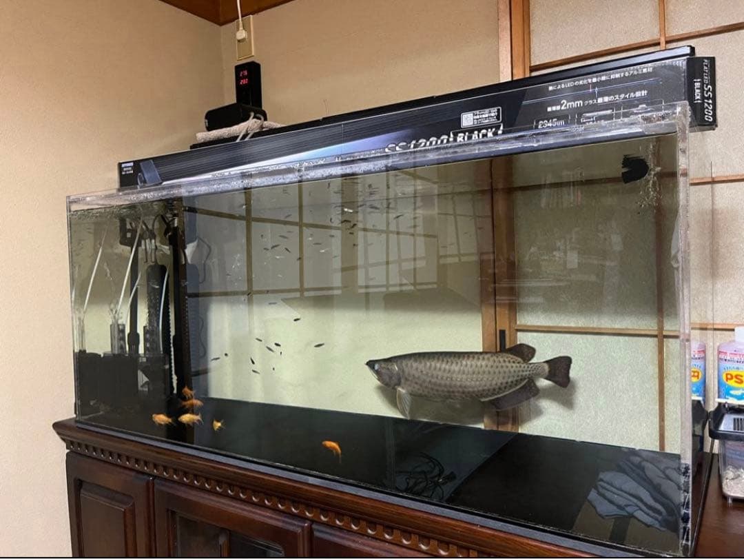 アクリル水槽 1200×500×500 上部濾過・交換ポンプ・蓋2枚！！