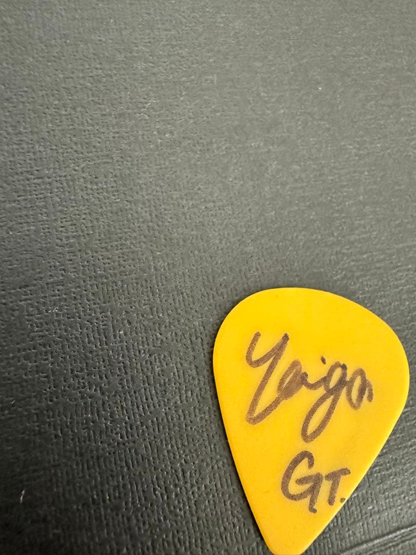 シンガーズハイ　ほりたいが　サイン入りギターピック