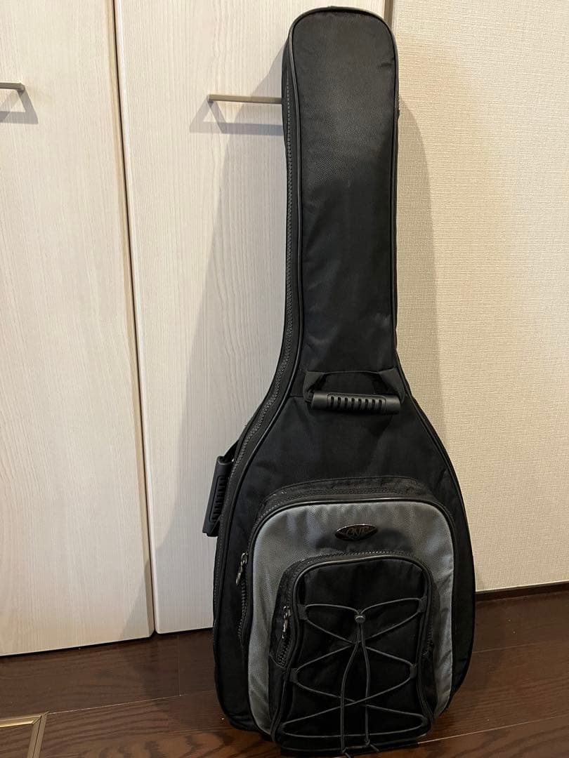 【限定色】Schecter Hellraiser c-1 FR