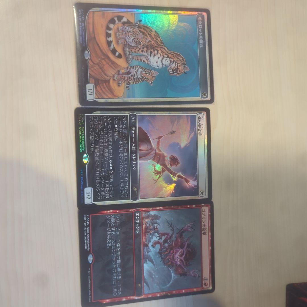 オセロットの群れ　csプロモ