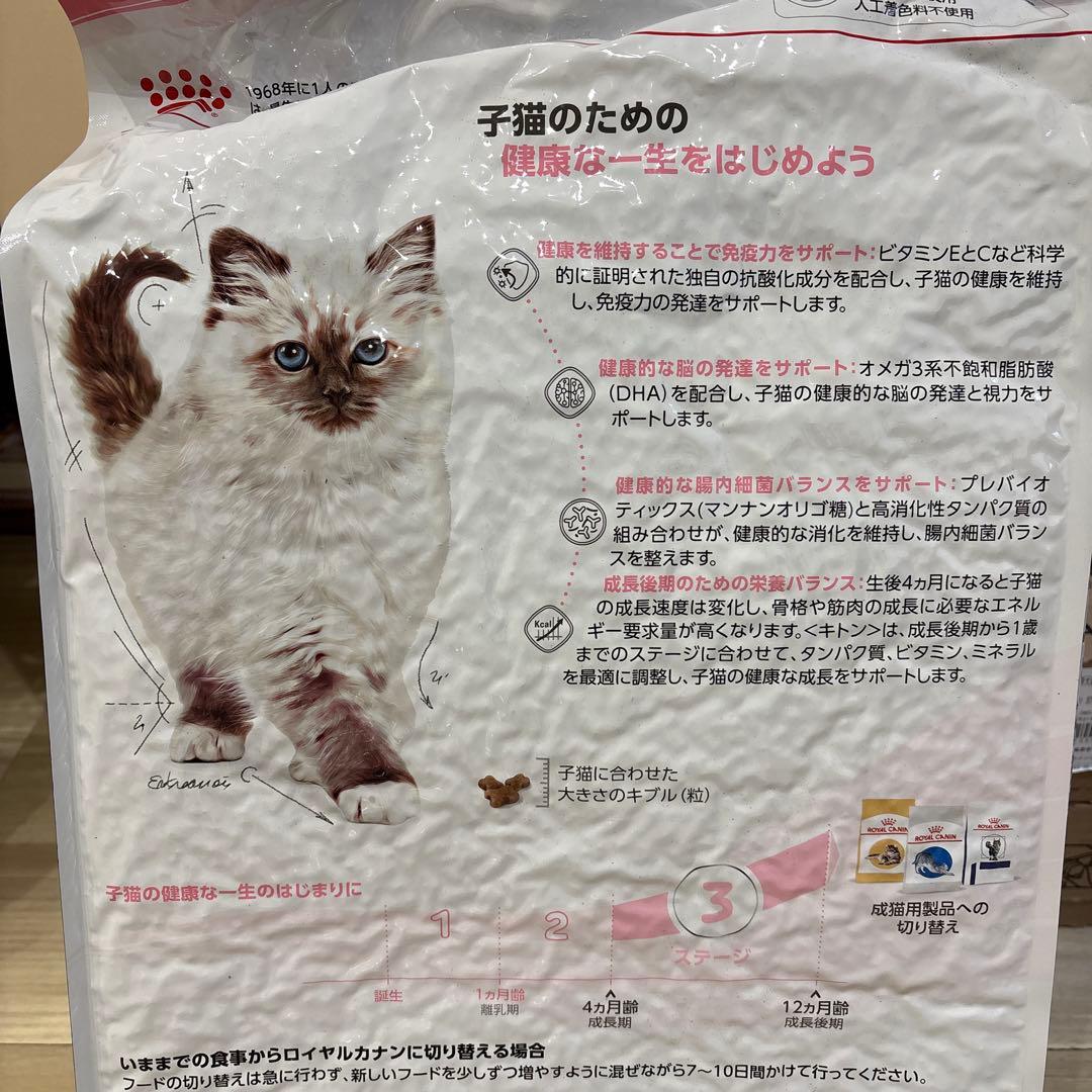  CANIN 成長後期の子猫用 10kg ドライフード