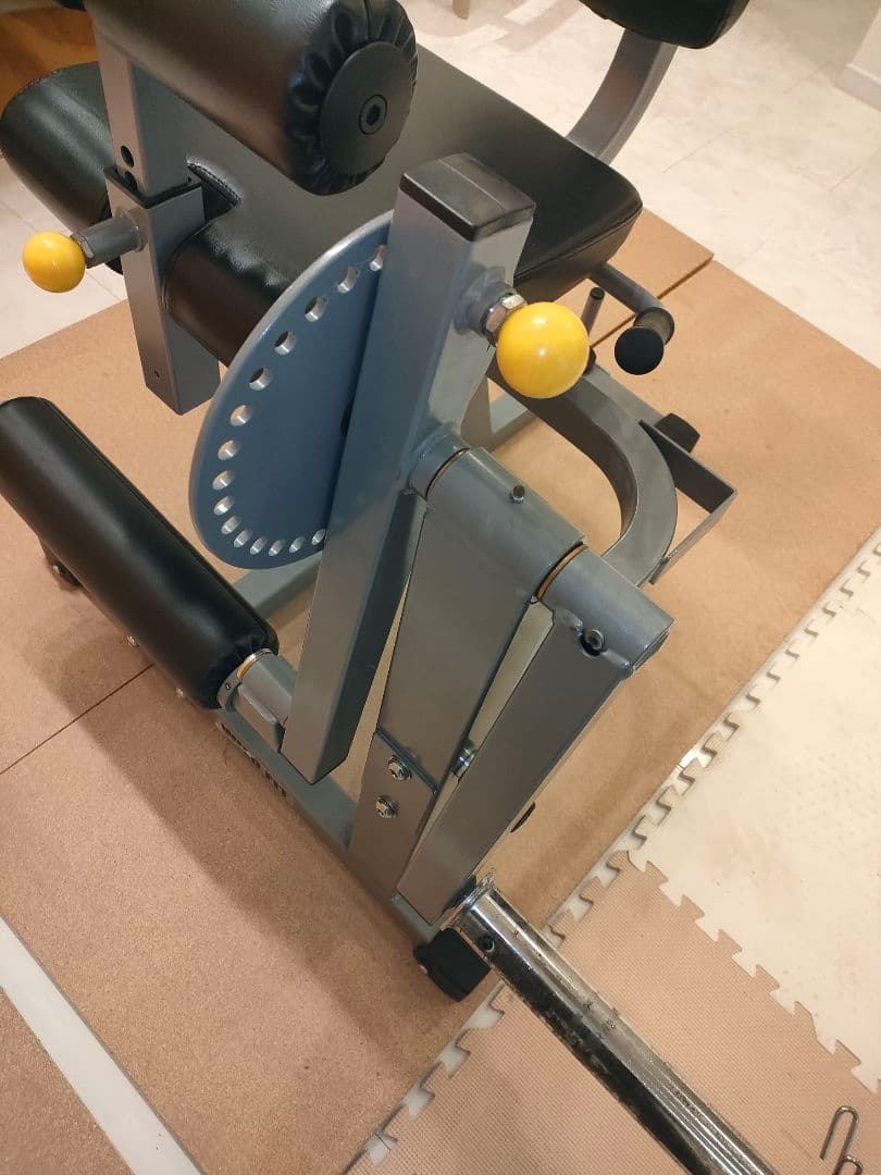 【美品】レッグエクステンション / カール (Φ50)[WILD FIT ]