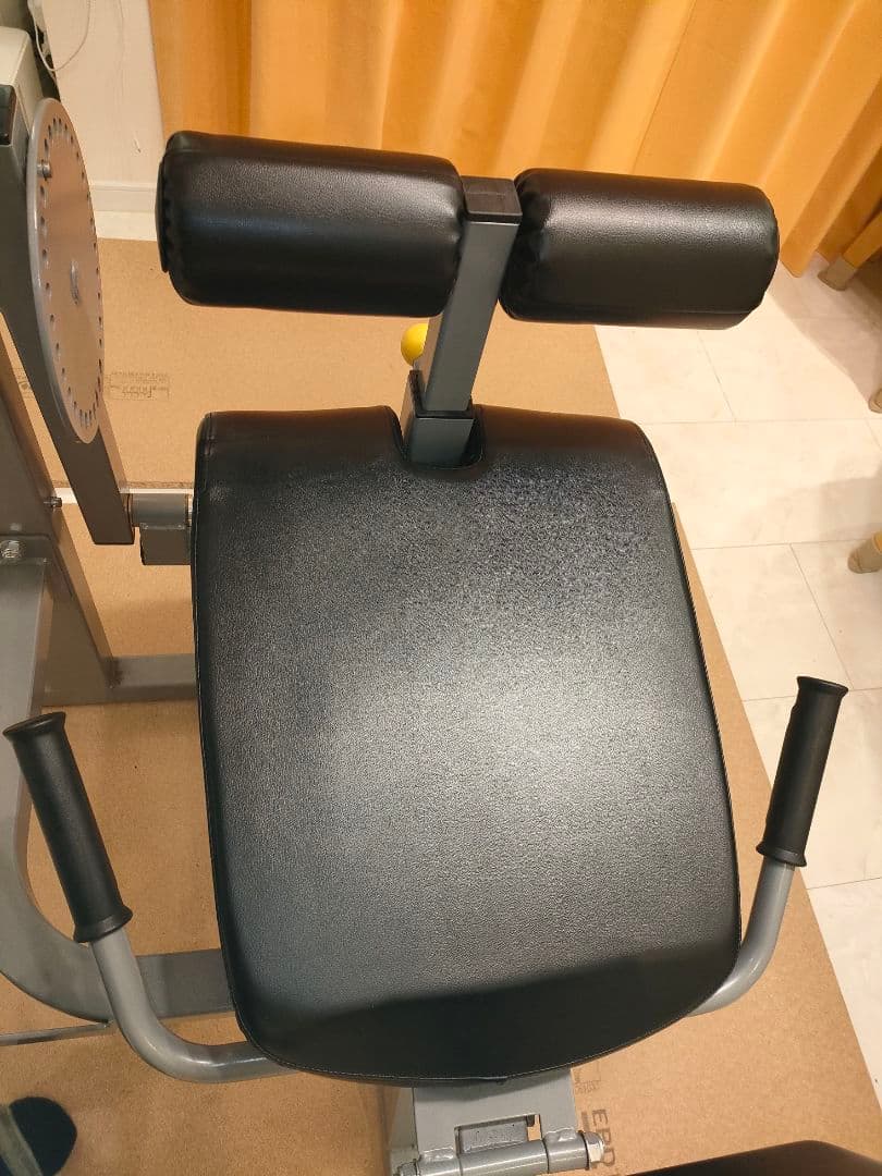 【美品】レッグエクステンション / カール (Φ50)[WILD FIT ]