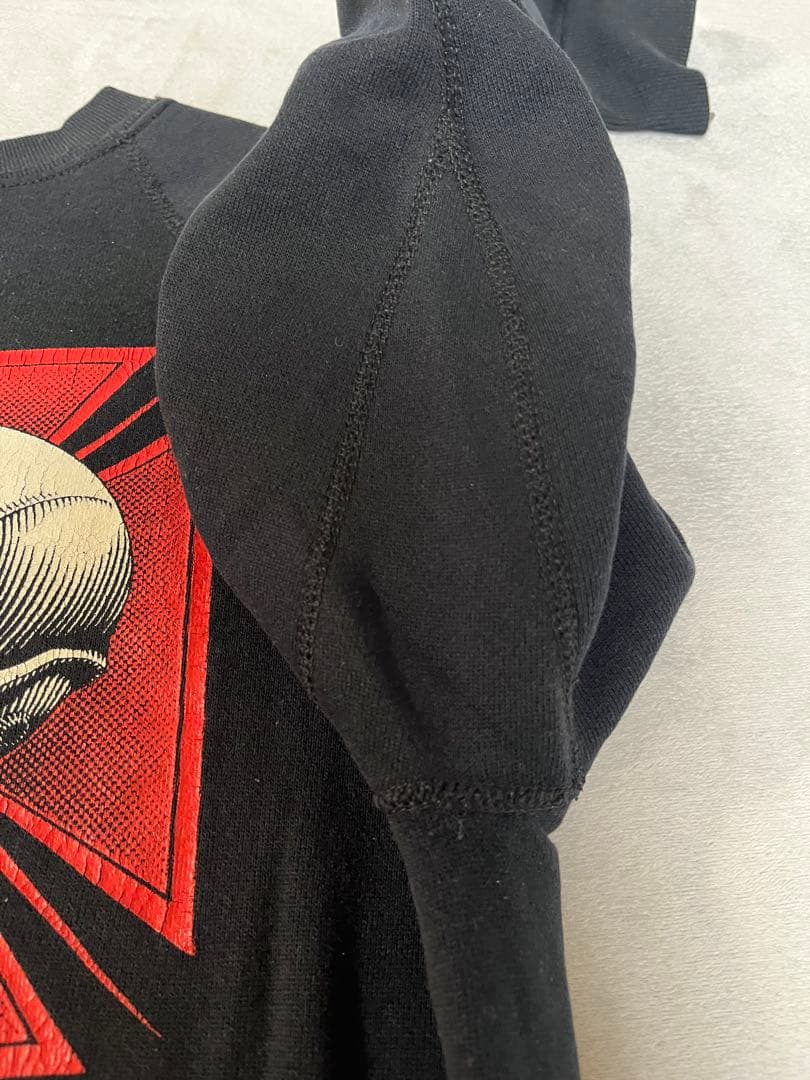 ひ*こ様 80s POWELL PERALTA TONY HAWK アイアンクロ