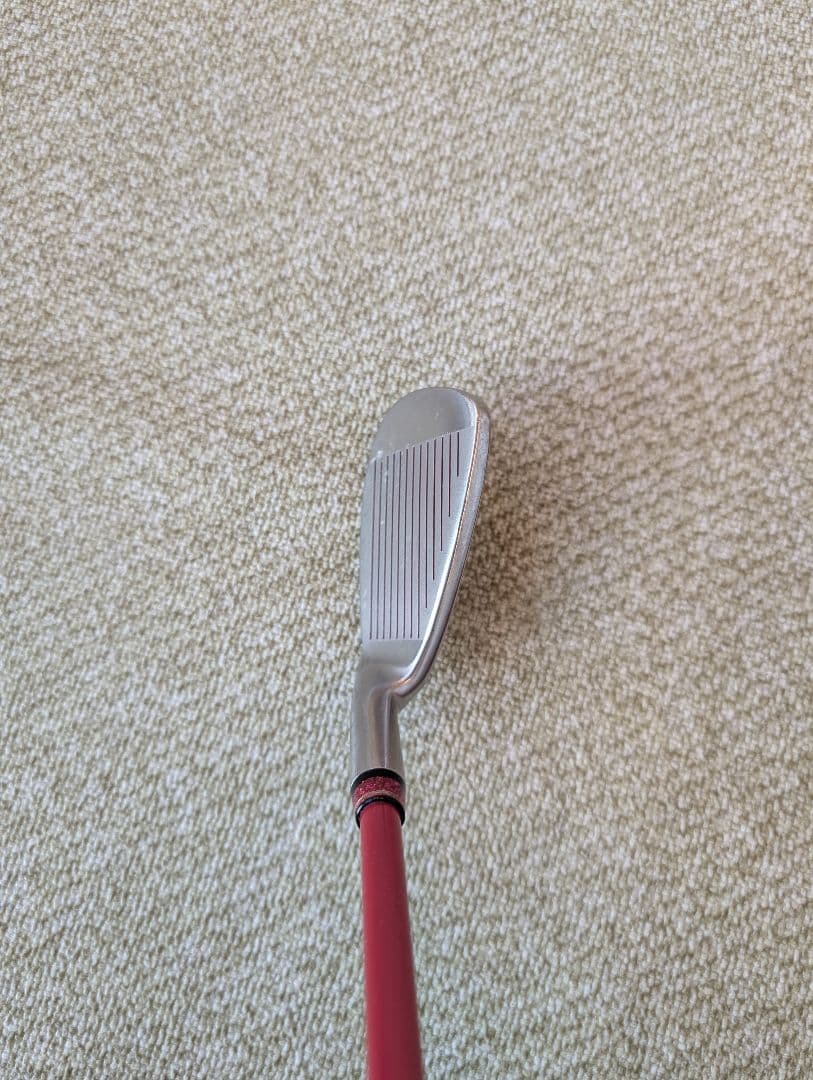 ワークスゴルフ Bisser レディースクラブ　9本セット　送料無料