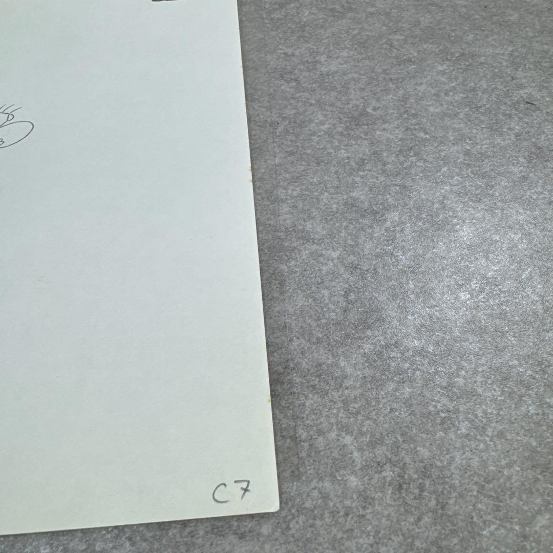 希少 あらいぐまラスカル ラスカル C6 セル画 日本アニメーション