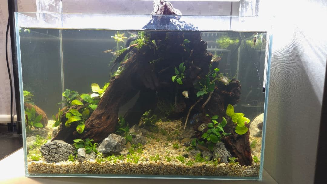 【都内直接引渡】豪華ADA 45cm水槽フルセット アクアスカイ/青華石10数点