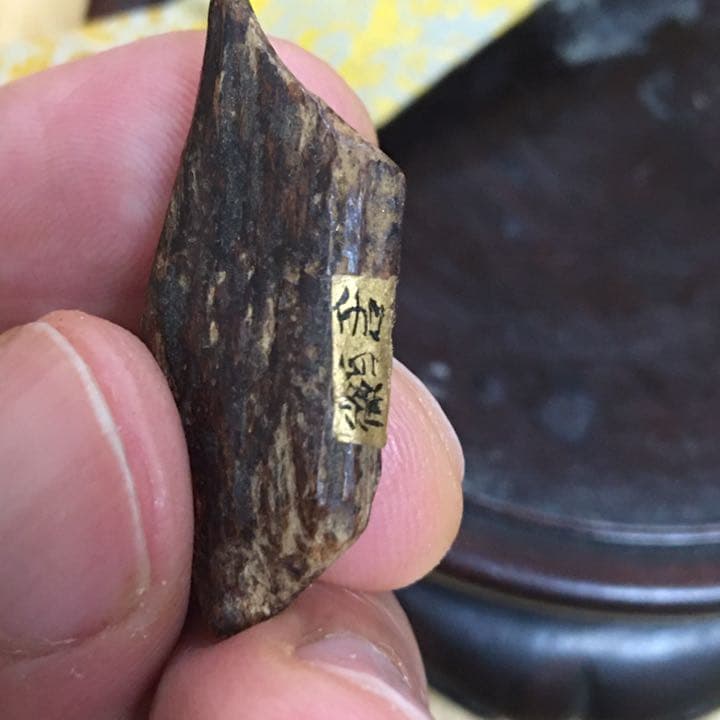 沈香 伽羅 香木 金札 緑油奇楠香