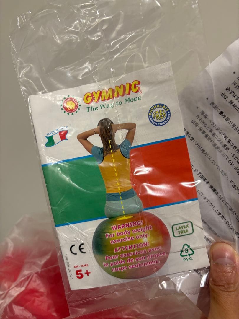 Gymnic 120 赤 バランスボール